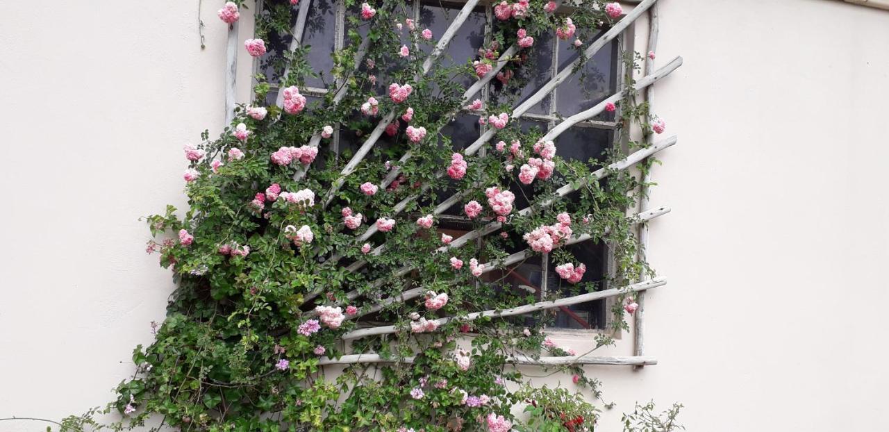 Disa Lodge ダーリング エクステリア 写真